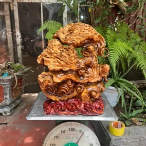 at-ma-mua-vo-go-nu-ngoc-G6275-5 Tượng Đạt Ma Múa Võ Gỗ Nu Ngọc Am Liền Khối Hàng Đẹp Gai Nu Tự Nhiên G6275