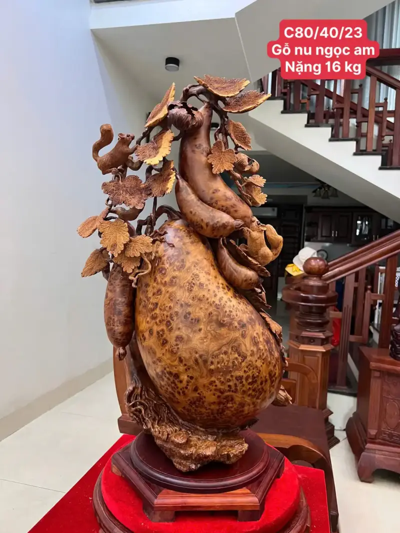 Bầu Bí Sóc Nu Ngọc Hàng Đục Kỹ Kênh Tơi Sắc Nét G5747