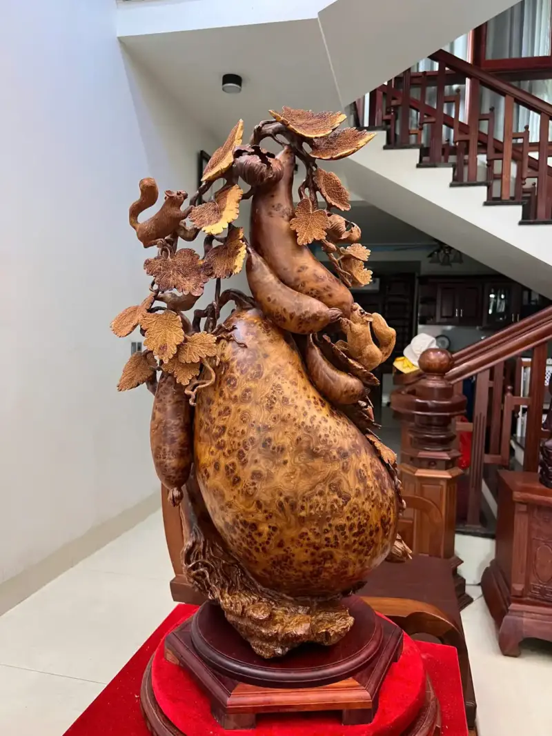 Bầu Bí Sóc Nu Ngọc Hàng Đục Kỹ Kênh Tơi Sắc Nét G5747