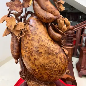 Bầu Bí Sóc Nu Ngọc Hàng Đục Kỹ Kênh Tơi Sắc Nét G5747