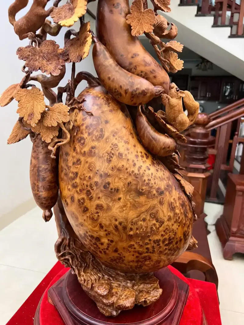 Bầu Bí Sóc Nu Ngọc Hàng Đục Kỹ Kênh Tơi Sắc Nét G5747