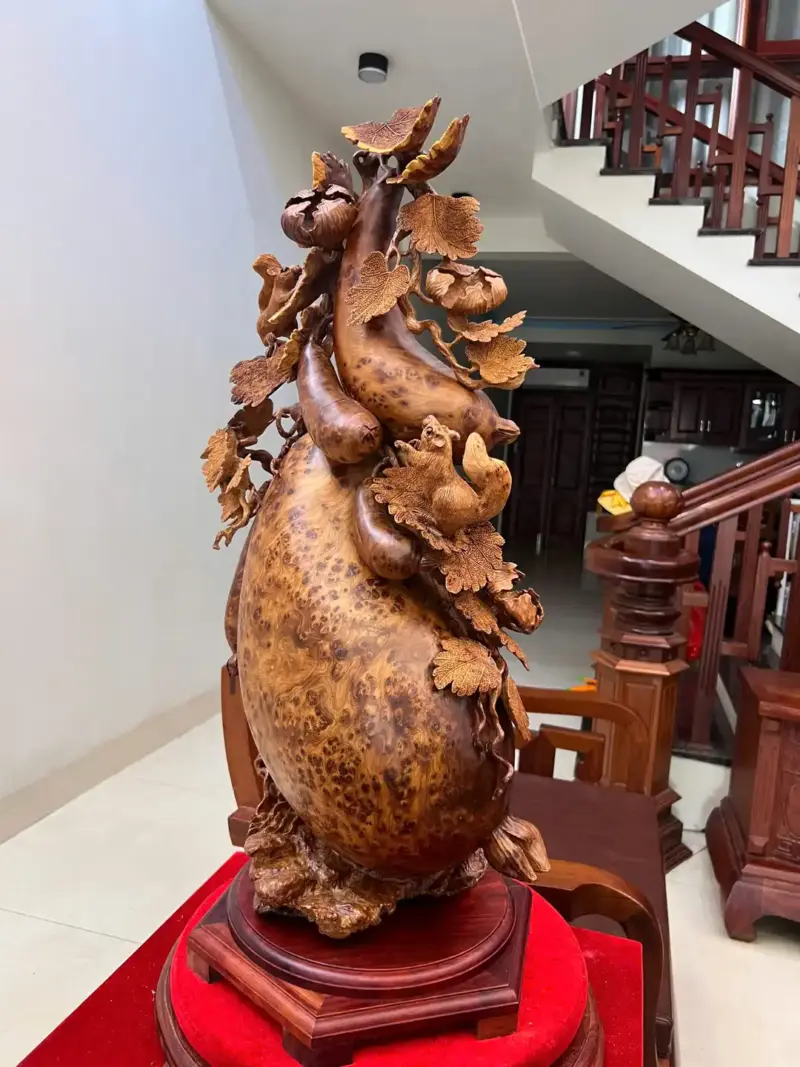 Bầu Bí Sóc Nu Ngọc Hàng Đục Kỹ Kênh Tơi Sắc Nét G5747