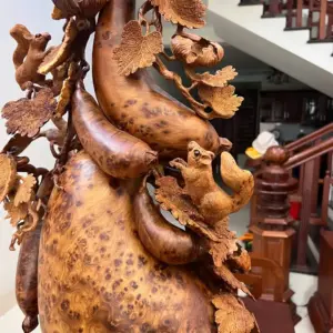 Bầu Bí Sóc Nu Ngọc Hàng Đục Kỹ Kênh Tơi Sắc Nét G5747