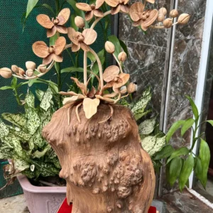 binh-hoa-lan-G6387-4 Bình Hoa Lan Gỗ Nu Ngọc Am Nu Kín Hàng Kỹ Nét G6387