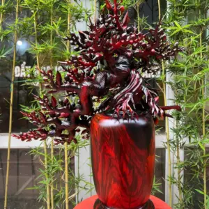 binh-mai-giang-G5596-5_1 Bình Mai Giáng Đổ Gỗ Trắc Hàng Kỹ To Đẹp G5596