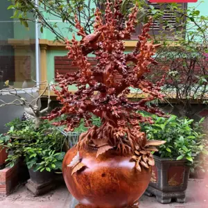 binh-mai-go-G5270-1 Tượng Bình Mai Gỗ Nu Hương To Nặng Liền Khối G5270