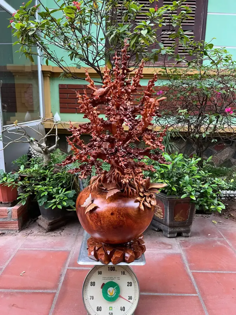 binh-mai-go-G5270-5 Tượng Bình Mai Gỗ Nu Hương To Nặng Liền Khối G5270