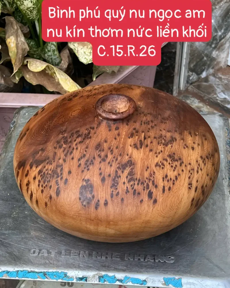binh-phu-quy-G5858-1 Bình Phú Quý Nu Ngọc Am Thơm Nức Nu Kín G5858