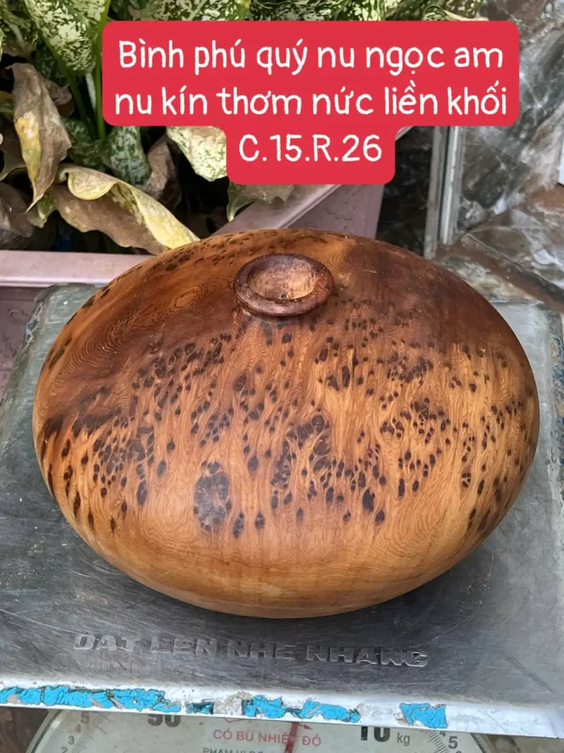 binh-phu-quy-G5858-1 Bình Phú Quý Nu Ngọc Am Thơm Nức Nu Kín G5858