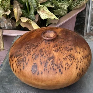 binh-phu-quy-G5858-2 Bình Phú Quý Nu Ngọc Am Thơm Nức Nu Kín G5858