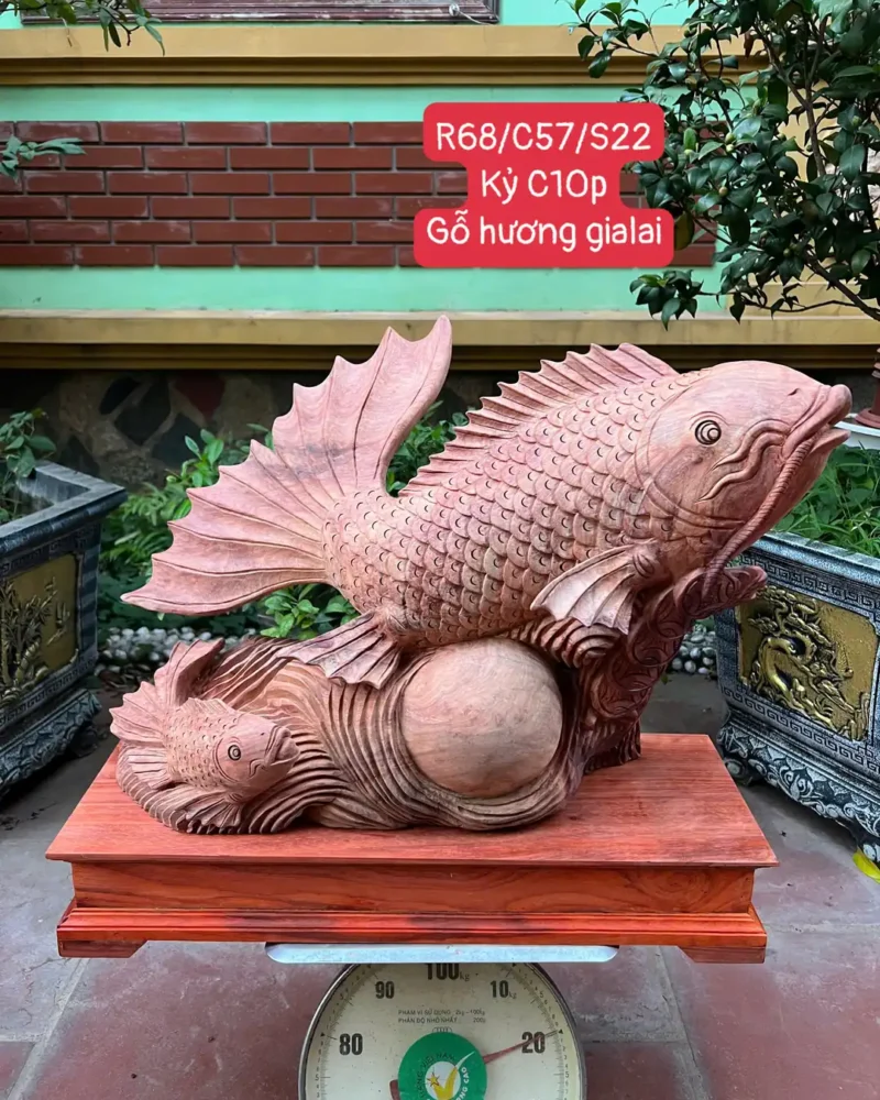 ca-chep-mau-G6390-1 Tượng Cá Chép Mẫu Tử Gỗ Hương Gia Lai To Nặng Liền Khối Có Sơn Tặng Kèm Kỷ Như Hình G6390
