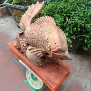 ca-chep-mau-G6390-3 Tượng Cá Chép Mẫu Tử Gỗ Hương Gia Lai To Nặng Liền Khối Có Sơn Tặng Kèm Kỷ Như Hình G6390