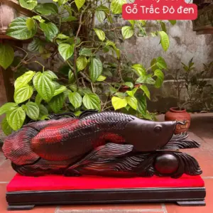 ca-kim-long-G5282-1 Tượng Cá Kim Long Gỗ Trắc Đỏ Đen To Liền Khối G5282