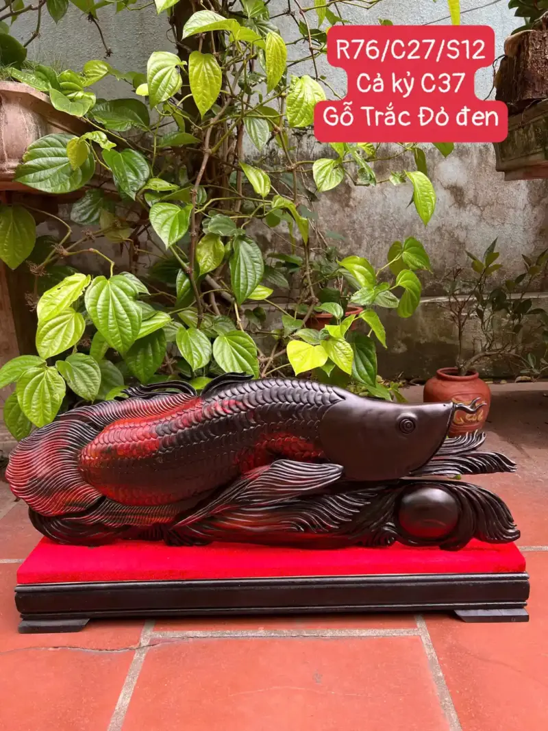 ca-kim-long-G5282-1 Tượng Cá Kim Long Gỗ Trắc Đỏ Đen To Liền Khối G5282