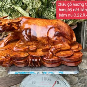 chau-go-huong-G5860-1 Tượng Trâu Gỗ Hương Ta Vân Vip Hàng Kỹ Nét Liền Khối G5860