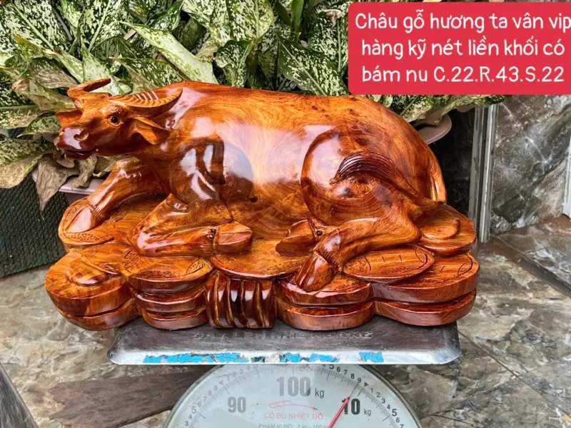 chau-go-huong-G5860-1 Tượng Trâu Gỗ Hương Ta Vân Vip Hàng Kỹ Nét Liền Khối G5860