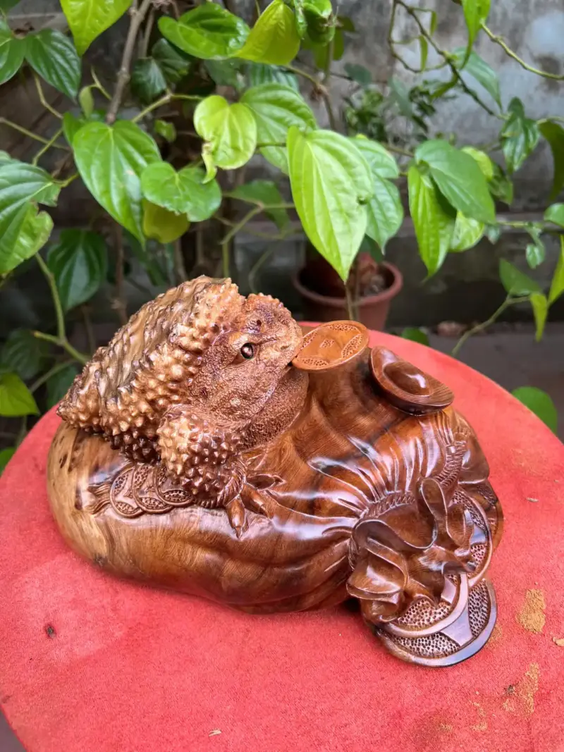 coc-lam-bao-G5284-4 Tượng Cóc Lằm Bao Tiền Gỗ Nu Ngọc Am Liền Khối G5284