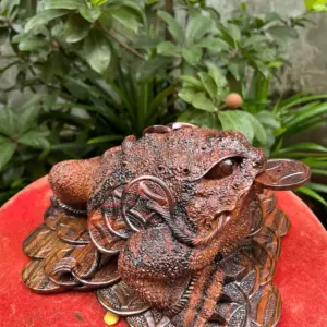 coc-ngam-tien-G5600-4 Tượng Cóc Ngậm Tiền Gỗ Mun Hoa Hàng Kỹ Liền Khối G5600