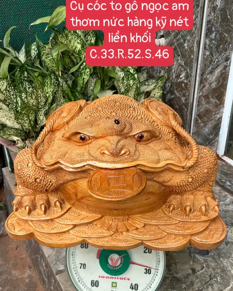 cu-coc-go-G5644-1 Tượng Cụ Cóc Gỗ Ngọc Am Thơm Nức Hàng Kỹ Nét Liền Khối G5644
