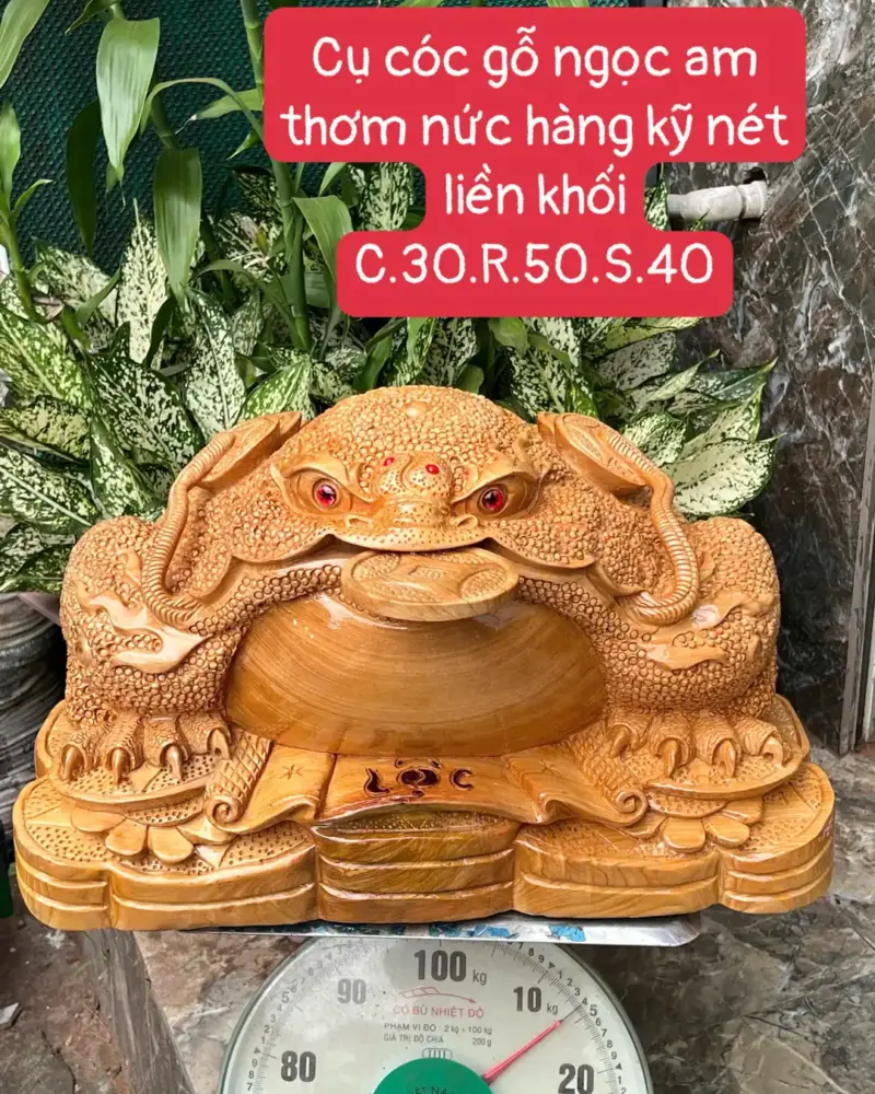 cu-coc-go-G5648-1 Tượng Cụ Cóc Gỗ Ngọc Am Thơm Nức Hàng Kỹ Nét Liền Khối G5648