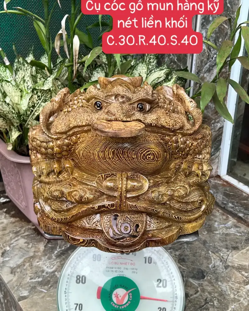 cu-coc-rong-G5650-1 Tượng Cụ Cóc Rồng Gỗ Mun Hàng Kỹ Nét Liền Khối G5650