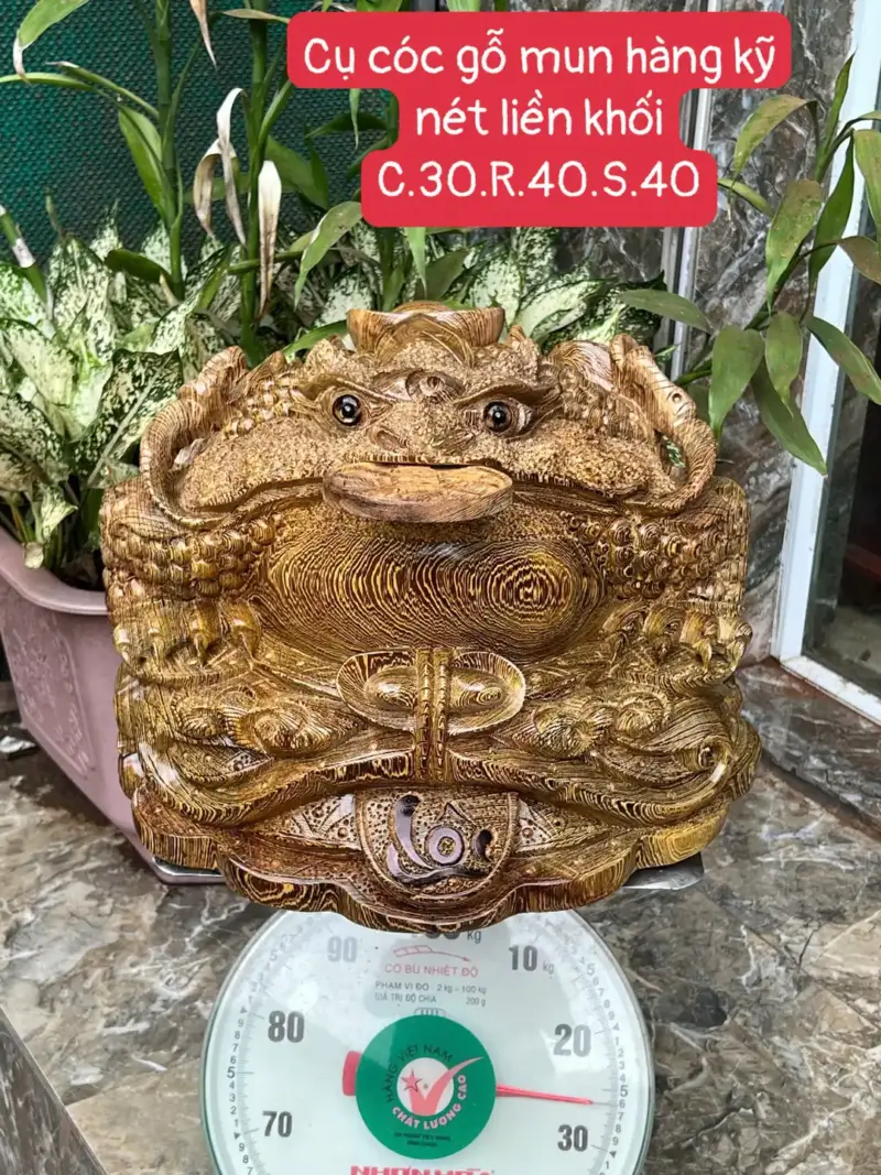 cu-coc-rong-G5650-1 Tượng Cụ Cóc Rồng Gỗ Mun Hàng Kỹ Nét Liền Khối G5650