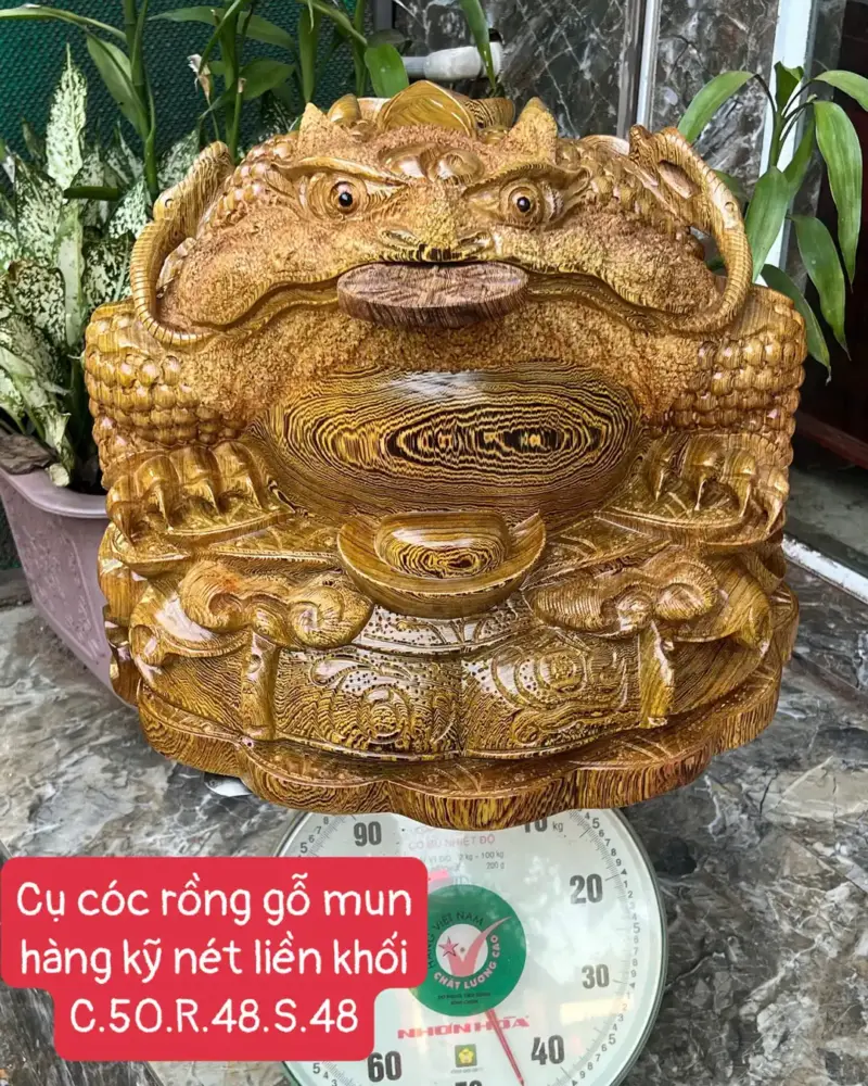 cu-coc-rong-G5651-1 Tượng Cụ Cóc Rồng Gỗ Mun Hàng Kỹ Nét Liền Khối G5651
