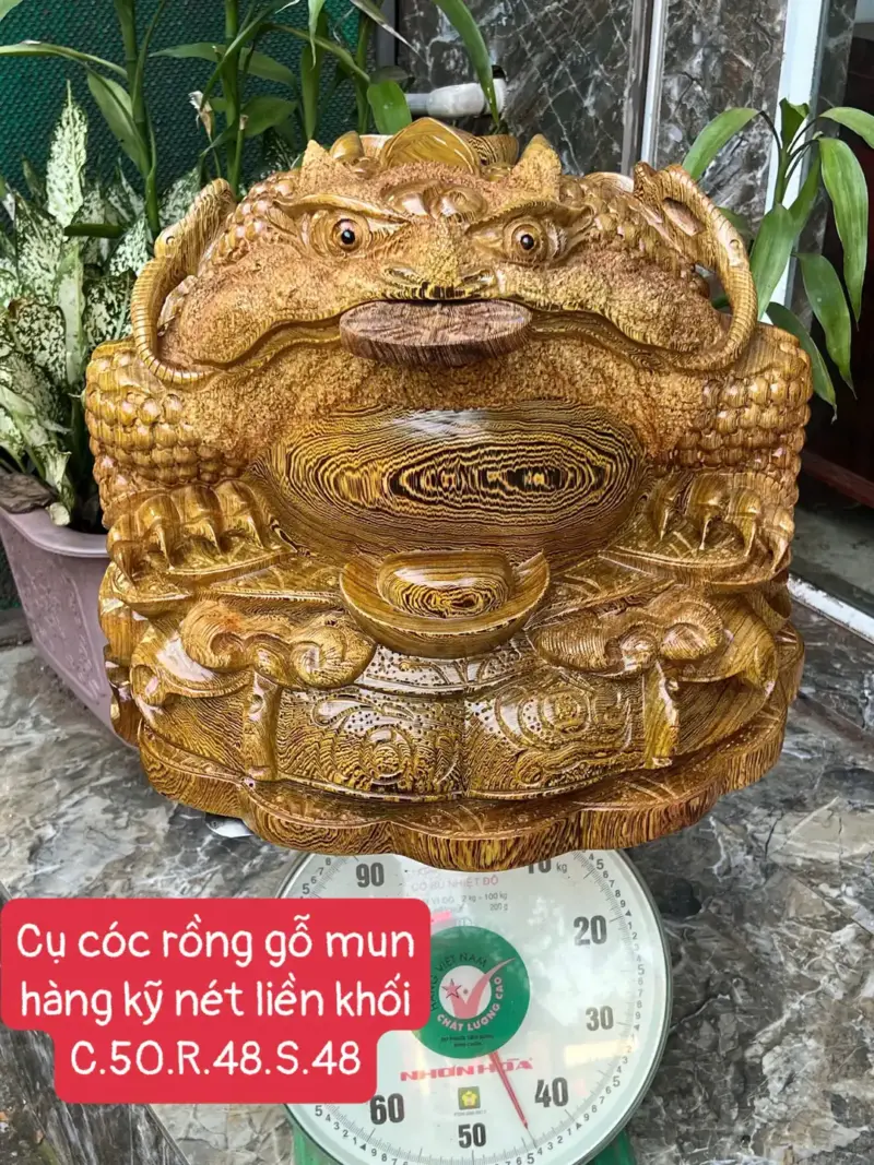 cu-coc-rong-G5651-1 Tượng Cụ Cóc Rồng Gỗ Mun Hàng Kỹ Nét Liền Khối G5651
