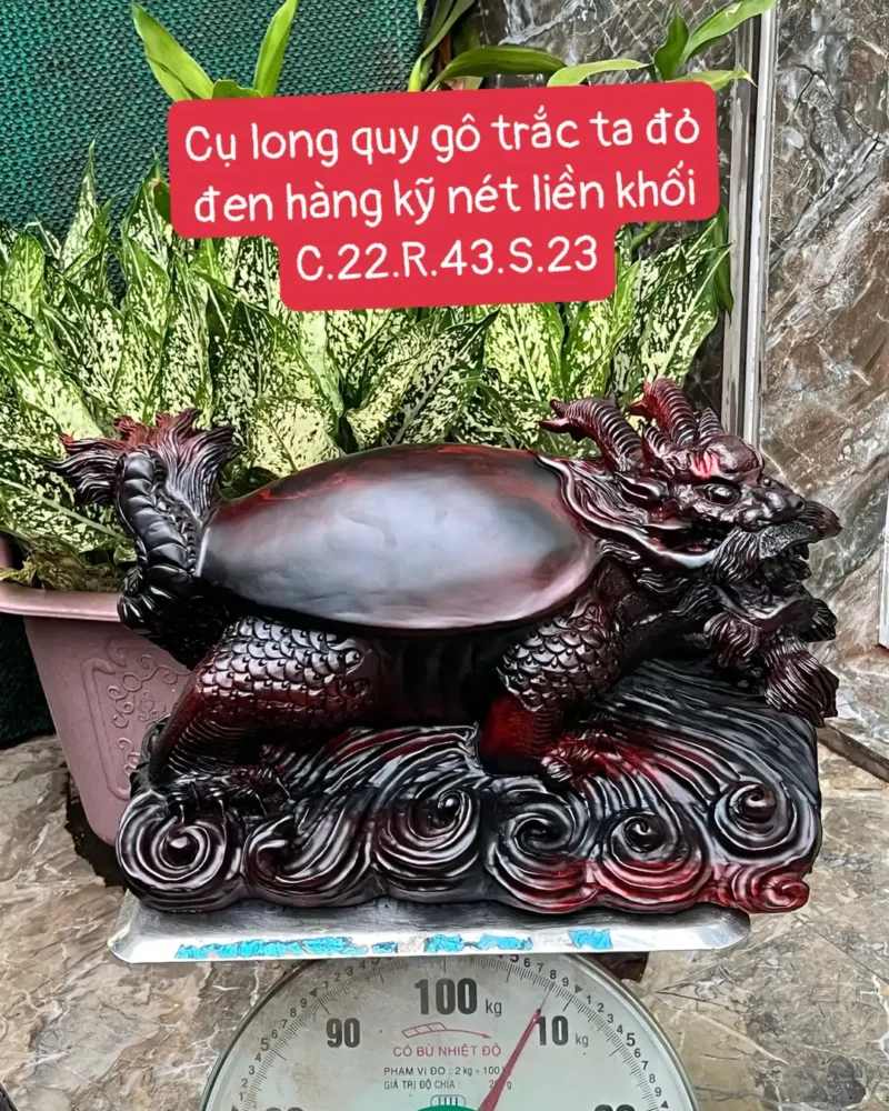 cu-long-quy-G5907-1 Tượng Cụ Long Quy Gỗ Trắc Ta Đỏ Đen Hàng Kỹ Nét Liền Khối G5907