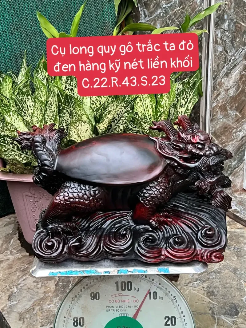cu-long-quy-G5907-1 Tượng Cụ Long Quy Gỗ Trắc Ta Đỏ Đen Hàng Kỹ Nét Liền Khối G5907