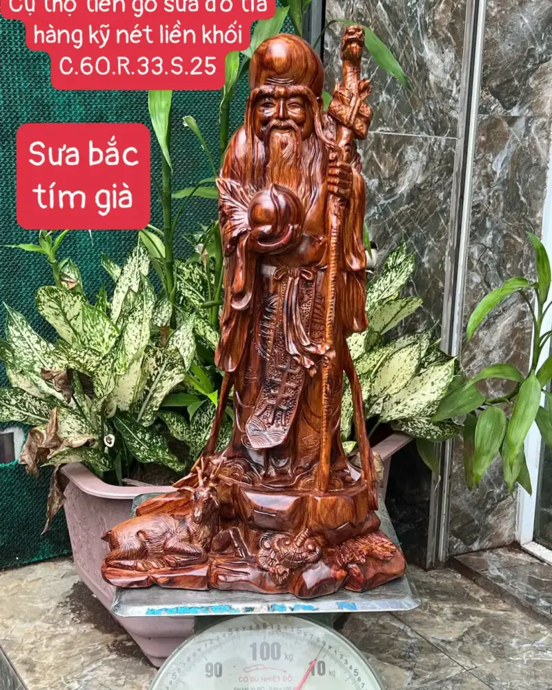 cu-tho-go-G5671-1 Tượng Cụ Thọ Gỗ Sưa Bắc Tím Già Hàng Kỹ Nét Liền Khối G5671