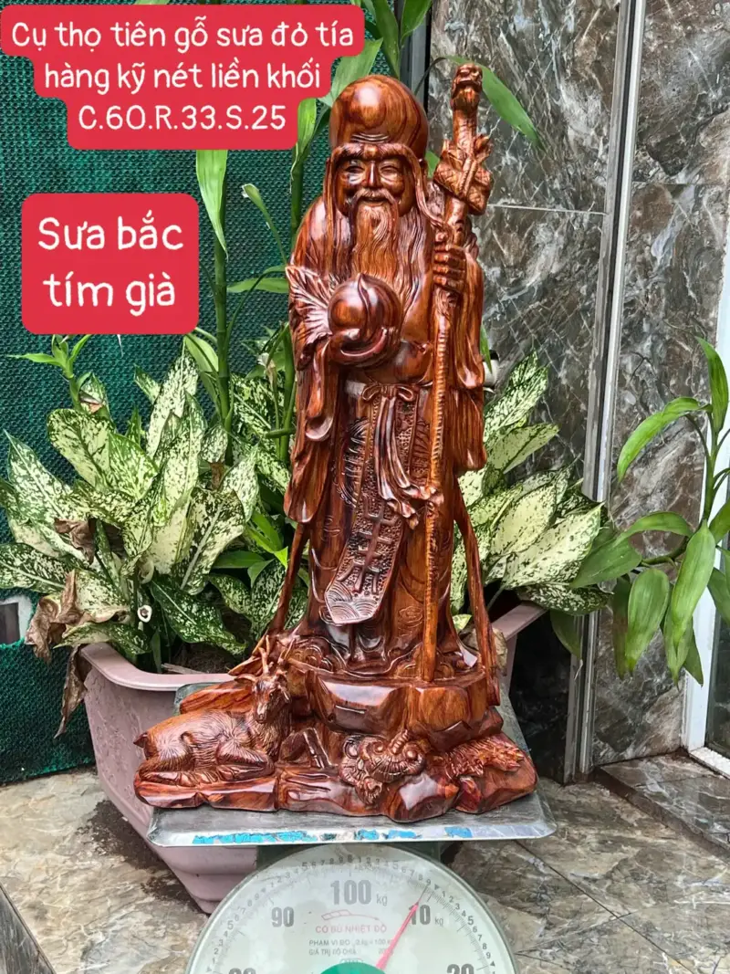 cu-tho-go-G5671-1 Tượng Cụ Thọ Gỗ Sưa Bắc Tím Già Hàng Kỹ Nét Liền Khối G5671