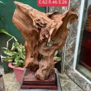 go-lua-ngoc-G5679-1 Tượng Gỗ Lũa Ngọc Am Hà Giang Hàng Kỹ Nét Liền Khối G5679