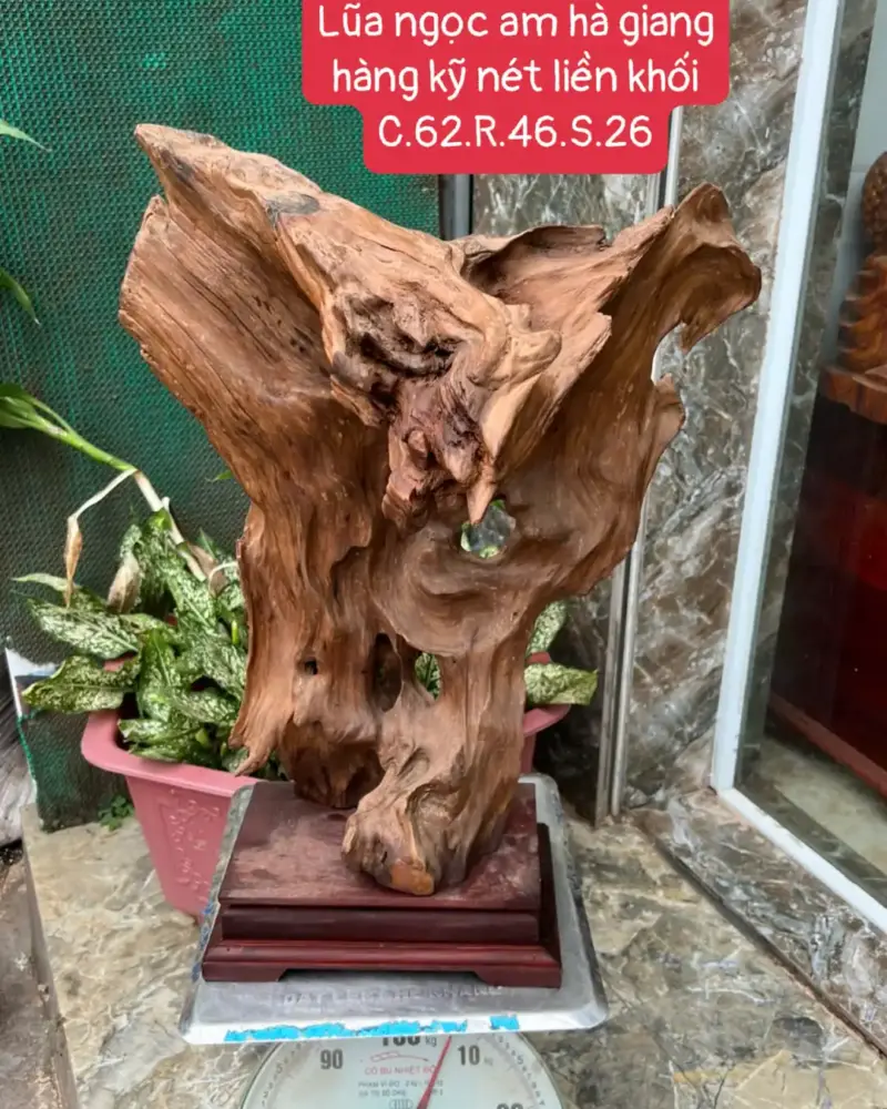 go-lua-ngoc-G5679-1 Tượng Gỗ Lũa Ngọc Am Hà Giang Hàng Kỹ Nét Liền Khối G5679