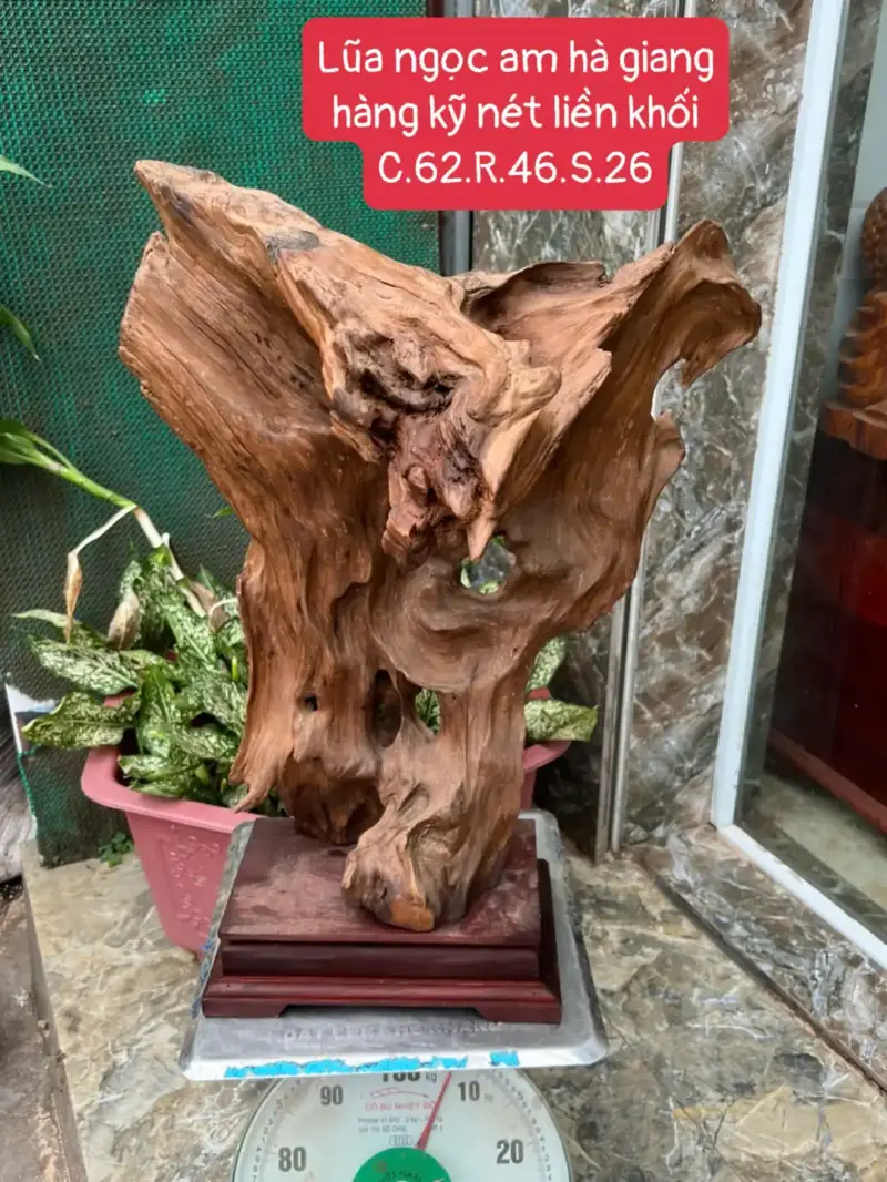 go-lua-ngoc-G5679-1 Tượng Gỗ Lũa Ngọc Am Hà Giang Hàng Kỹ Nét Liền Khối G5679