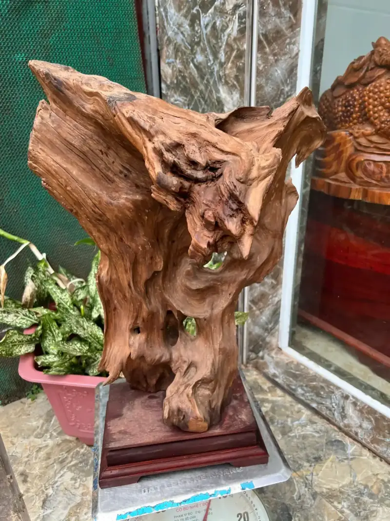 go-lua-ngoc-G5679-2 Tượng Gỗ Lũa Ngọc Am Hà Giang Hàng Kỹ Nét Liền Khối G5679