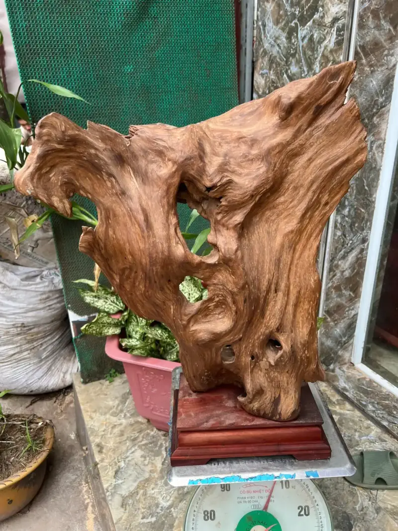 go-lua-ngoc-G5679-3 Tượng Gỗ Lũa Ngọc Am Hà Giang Hàng Kỹ Nét Liền Khối G5679
