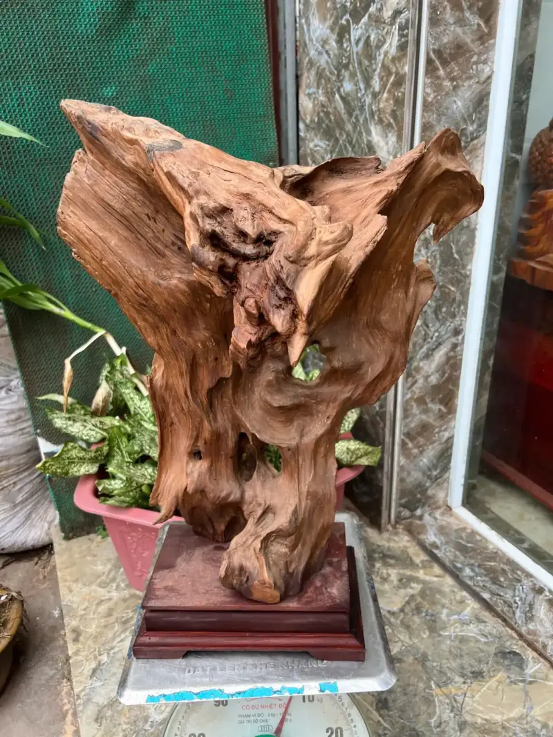 go-lua-ngoc-G5679-4 Tượng Gỗ Lũa Ngọc Am Hà Giang Hàng Kỹ Nét Liền Khối G5679