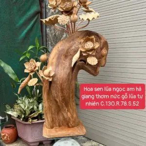 hoa-sen-lua-G5681-1 Hoa Sen Lũa Ngọc Am Hà Giang Thơm Nức Bông To Vip G5681