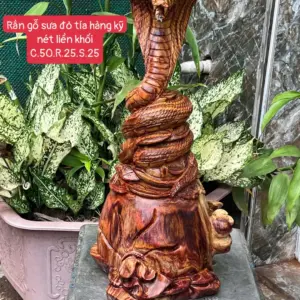 ran-go-sua-G5782-1 Tượng Rắn Gỗ Sưa Đỏ Tía Hàng Kỹ Nét Liền Khối G5782