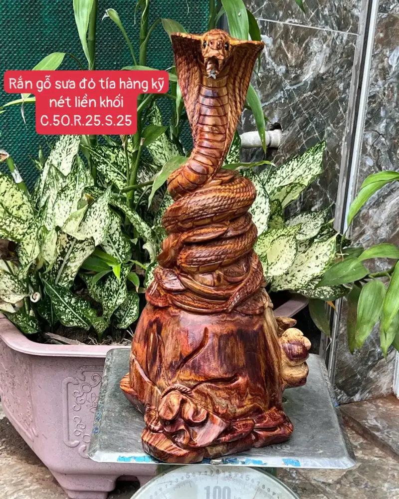 ran-go-sua-G5782-1 Tượng Rắn Gỗ Sưa Đỏ Tía Hàng Kỹ Nét Liền Khối G5782