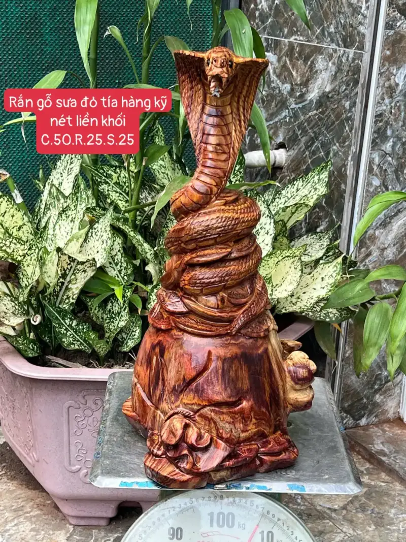 ran-go-sua-G5782-1 Tượng Rắn Gỗ Sưa Đỏ Tía Hàng Kỹ Nét Liền Khối G5782