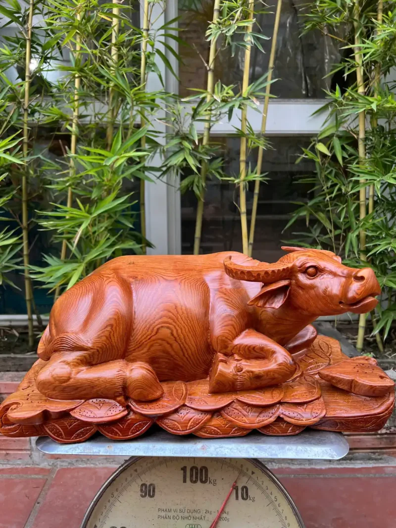 trau-nam-tien-G6295-2 Tượng Trâu Nằm Tiền Vàng Gỗ Hương Gia Lai Liền Khối G6295