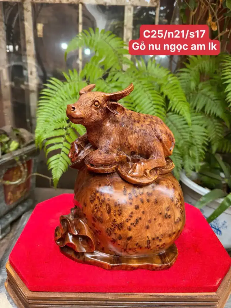 trau-tai-loc-go-nu-ngoc-G5356-1 Tượng Trâu Tài Lộc Gỗ Nu Ngọc Am Liền Khối G5356