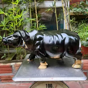 trau-venh-sung-G5357-2 Tượng Trâu Vểnh Sừng Gỗ Mun Hoa Hàng Đẹp Liền Khối G5357