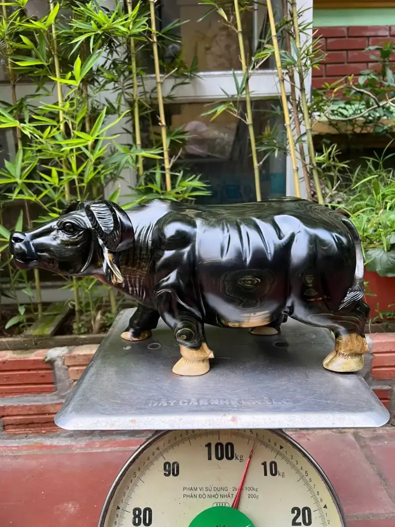 trau-venh-sung-G5357-2 Tượng Trâu Vểnh Sừng Gỗ Mun Hoa Hàng Đẹp Liền Khối G5357