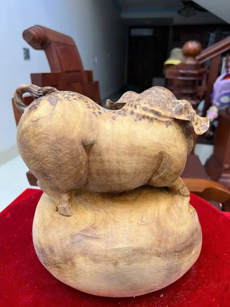 Tượng Gỗ Heo Gỗ Nu Ngọc Am Liền Khối Đang Lên Tuyết 21 - 23 - 21