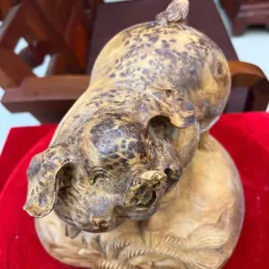 Tượng Gỗ Heo Gỗ Nu Ngọc Am Liền Khối Đang Lên Tuyết 21 - 23 - 21