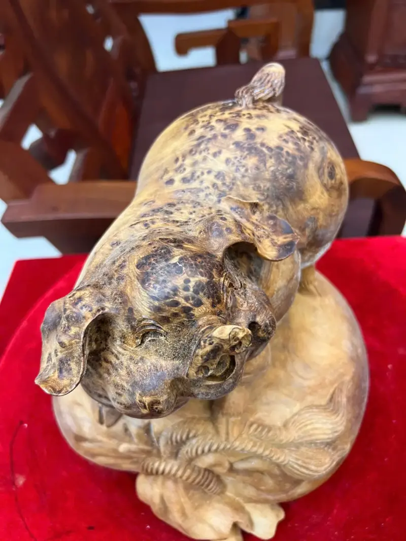 Tượng Gỗ Heo Gỗ Nu Ngọc Am Liền Khối Đang Lên Tuyết 21 - 23 - 21