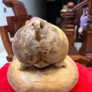 Tượng Gỗ Heo Gỗ Nu Ngọc Am Liền Khối Đang Lên Tuyết 21 - 23 - 21